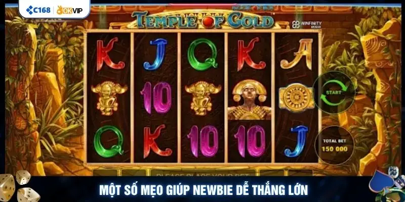 Một số mẹo giúp newbie dễ thắng lớn