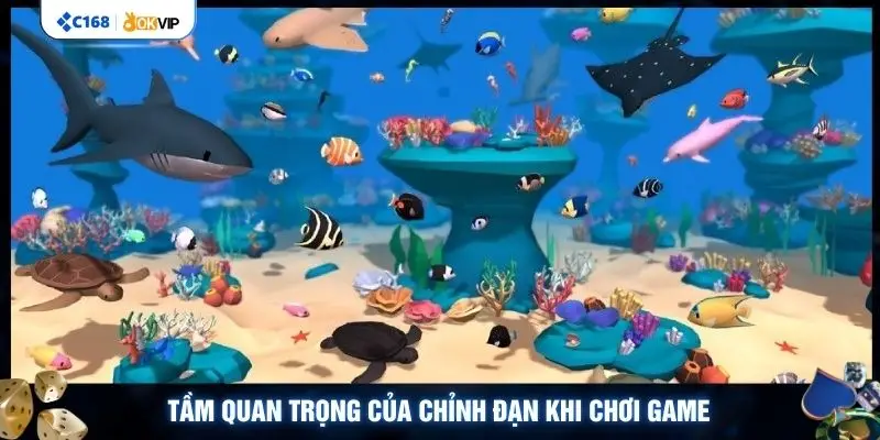 Tầm quan trọng của chỉnh đạn khi chơi game 
